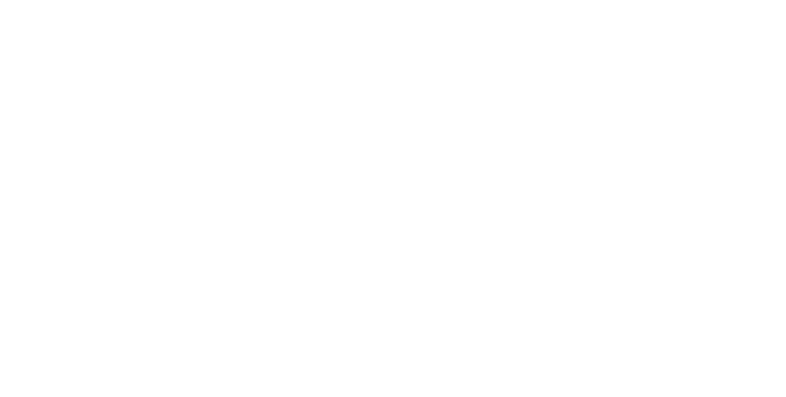 Icon 14