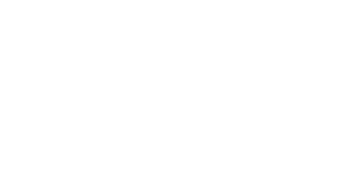 Icon 12